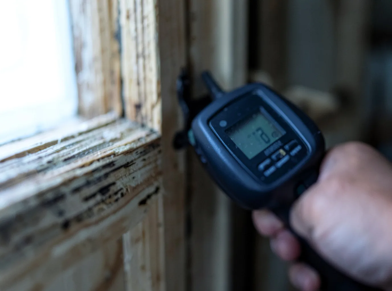 Moisture Inspection And Documentation in Cairo, NY